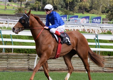 race 5_archives 2