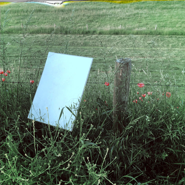 Leeg bord, omringd door klaprozen