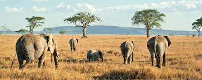 Western Tanzania Safari Tour Cost