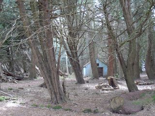 Lowther Castle and Gardens May 2013 - Little blue shed.