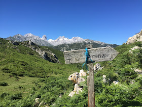 Hispania: Caoru Roman Road (Asturias) by E.V.Pita  https://archeopolis.blogspot.com/2017/07/hispania-cantabrian-roman-road-calzada.html / Calzada romana en Caoru (Asturias) / por E.V.Pita