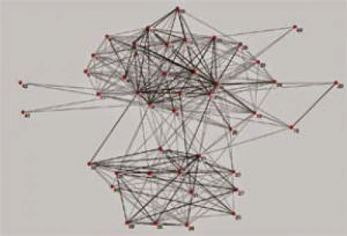Leadership Networks