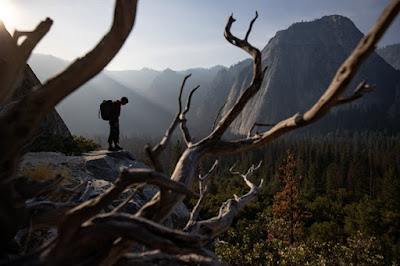 Free Solo 2018 movie Alex Honnold