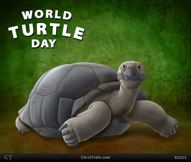 World Turtle Day art by Chris Trefz