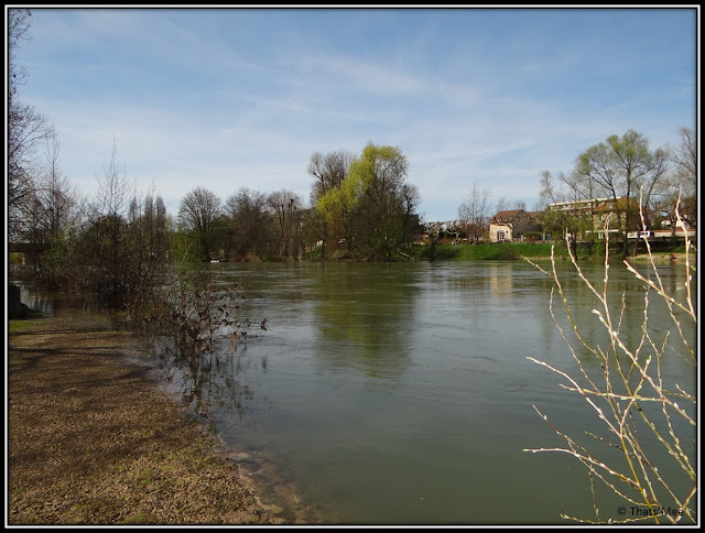 Bords de Marne St Maur  inspiration peinture impressionniste