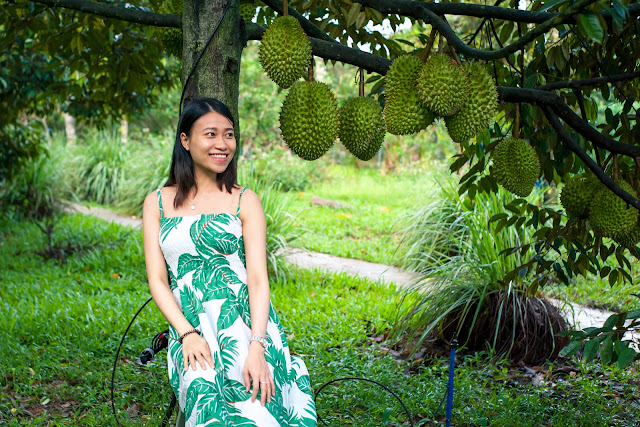 Check in vườn trái cây ở Đồng Nai