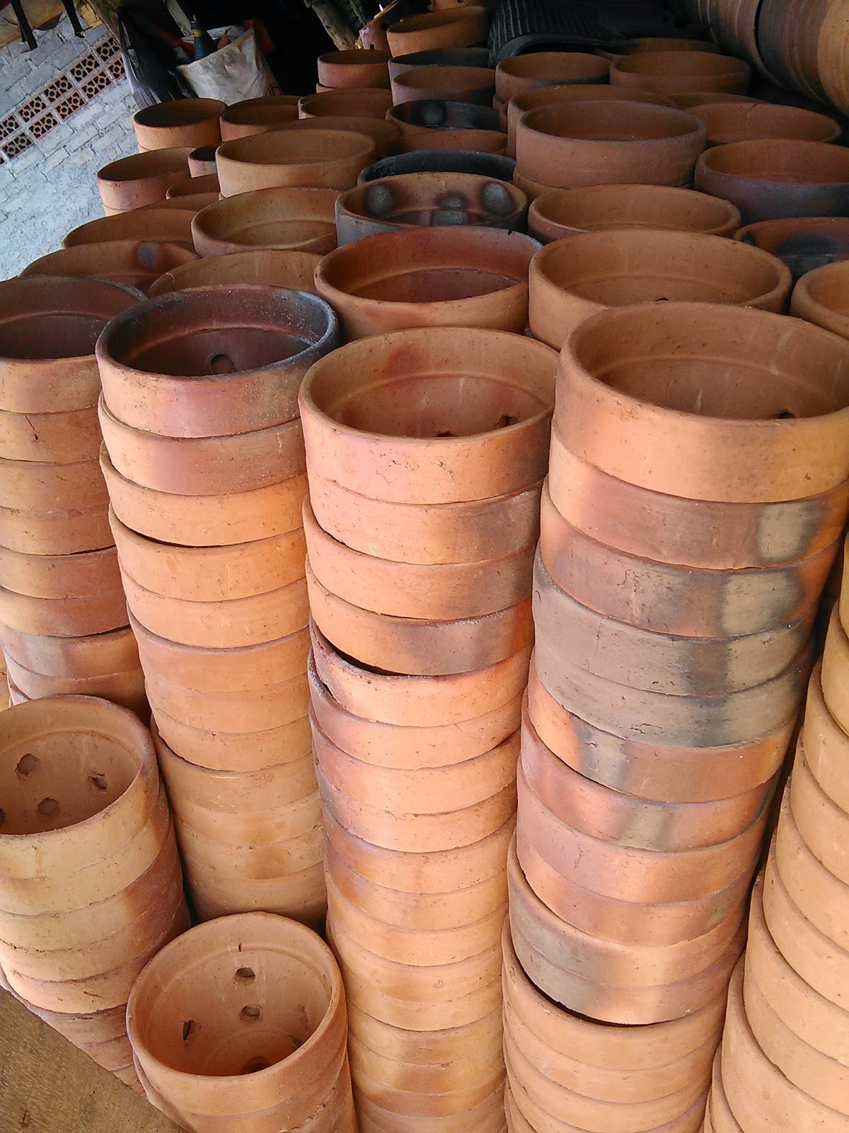 Jual Pot Anggrek