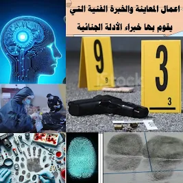 كشف الجرائم بلمسة ذكية: دور الذكاء الاصطناعي في علوم الأدلة الجنائية