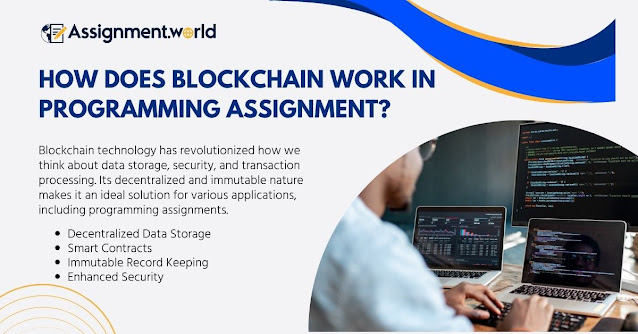 How does Blockchain Work in Programming Assignment?