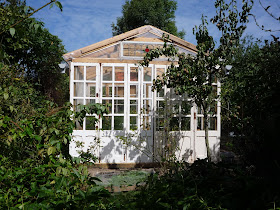 Home-made low cost old window glass and pallet wood greenhouse