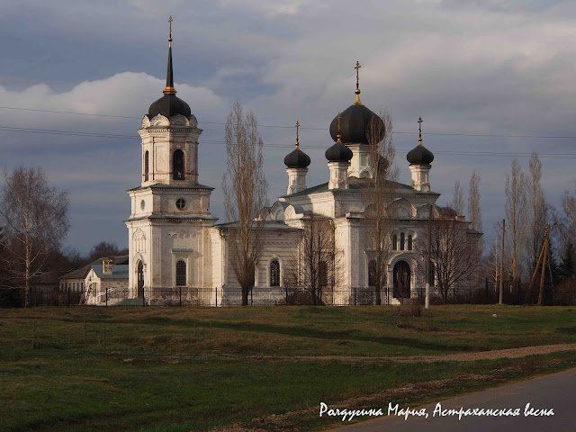 Липецкая область весна фото