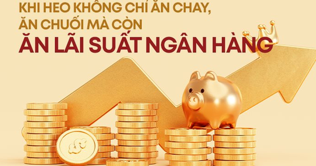 Khi heo không chỉ ăn cám, ăn chuối mà còn ăn cả lãi ngân hàng