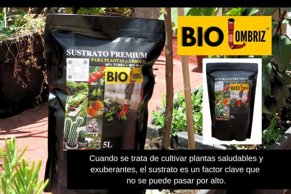 Sustrato Especial Premium de BIO Lombriz