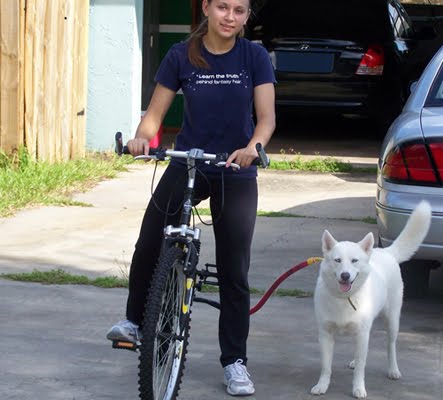 Paracord Lovers パラコードラヴァース 1 090 自転車で安全な犬の散歩に良さそうなリード Bike Tow Leash