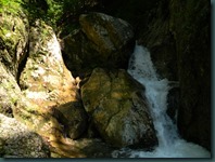DSCN3232