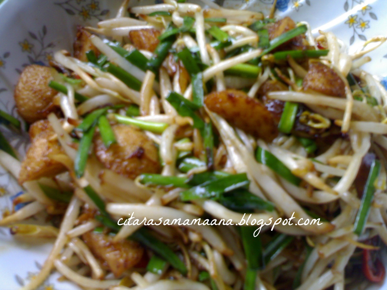 Tumis.my - resepi Taugeh Goreng Special