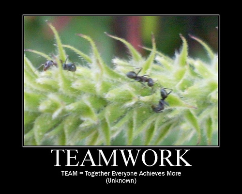 Customer Service Quotes On Teamwork. QuotesGram