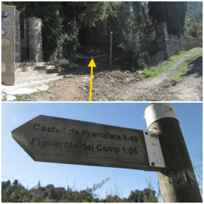 Prenafeta a Santes Creus GR-175 Ruta del Cister, camí de Figuerola a Prenafeta