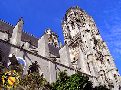 TOUL (54) - La cathédrale Saint-Etienne (Extérieur)