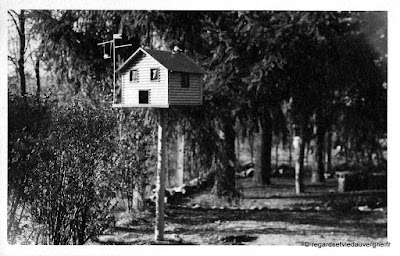 Photo ancienne d'Auvergne : lieux divers.