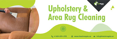 Upholstery%20&%20Area%20%20Rug%20Cleaning%201.jpg