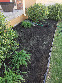 Suburban home flower bed just planted