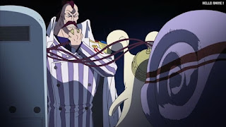 ワンピースアニメ 女ヶ島編 417話 モモンガ | ONE PIECE Episode 417