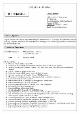 Best professional Accounts Head Resume 1