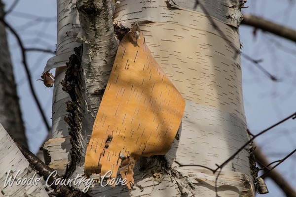 NOVEMBER 2015 (7 of 14)