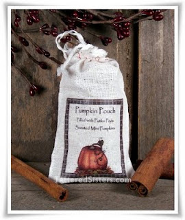 Primitive Pumpkin Pouch