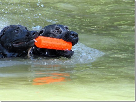 Riggens&friend04-08-12b