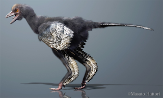 image: reconstruction of Aurornis xui