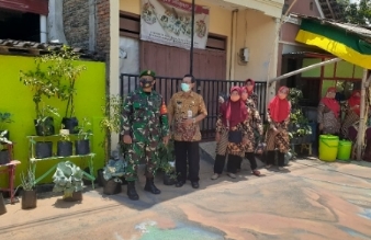 Babinsa dampingi penilaian Kampung Sayur