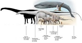 Comparativa tamaño dinosaurios