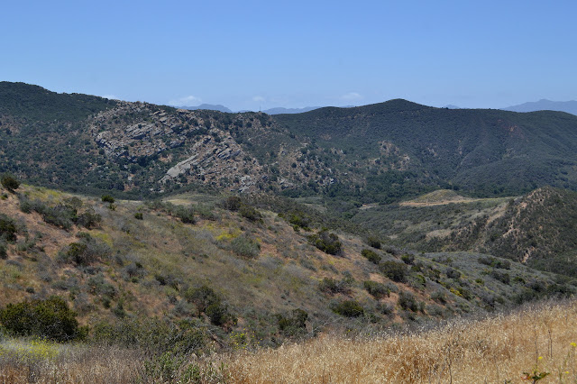 exposed section of rocks on the hillside