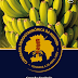Invite · 24th Great Chapter · Madeira