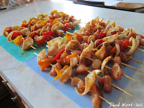 Shish Kabob chicken and Skewers
