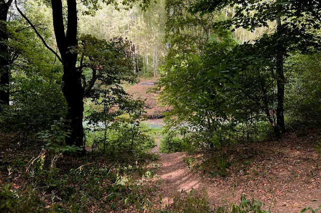 Юго-Западный лесопарк, река Самородинка