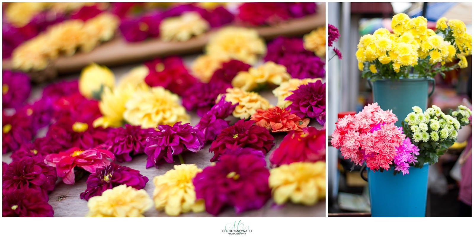 flower sellers in the markets, colourful flowers in Malaysia, Cherry May Ward travel Photography, drying flowers in Penang