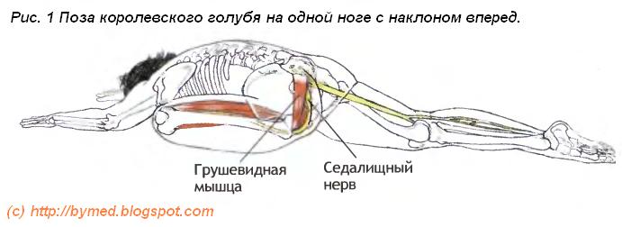 Поза голубя