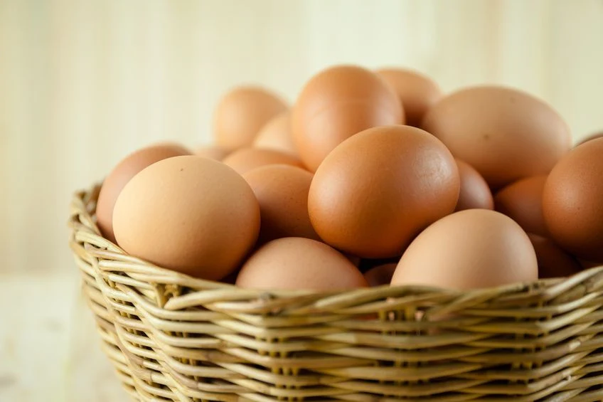 4 Jenis Telur Hewan yang Paling Kaya Manfaat