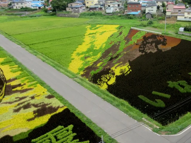 田んぼアート