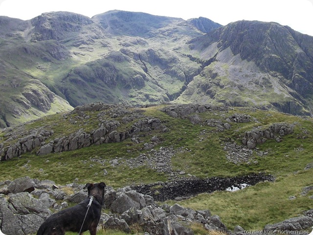 scafells, superdawg