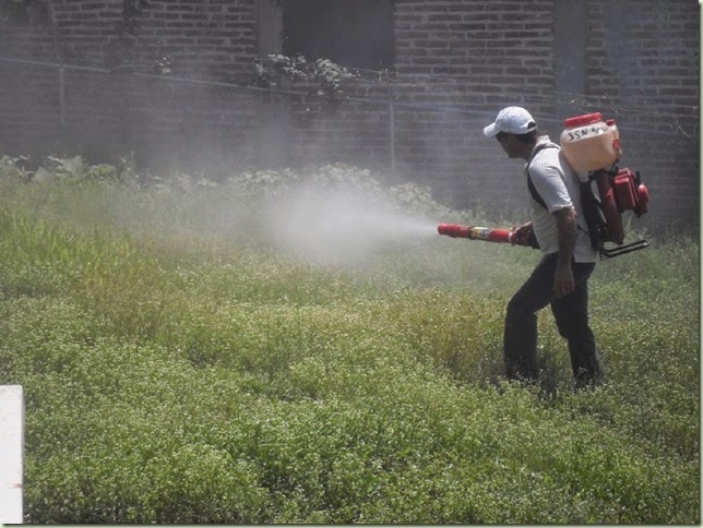 2-07-2014 OPERATIVO DE FUMIGACION CONTRA EL DENGUE (4)