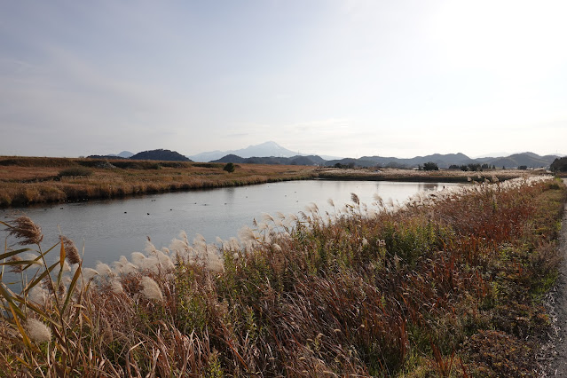 島根県安来市穂日島町 排水池 大山の眺望