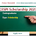 CESPI Scholarship for Undergraduate Students 2023 Latest Apply now