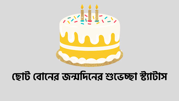 ছোট বোনের জন্মদিনের ‍শুভেচ্ছা স্ট্যাটাস ৫০০+