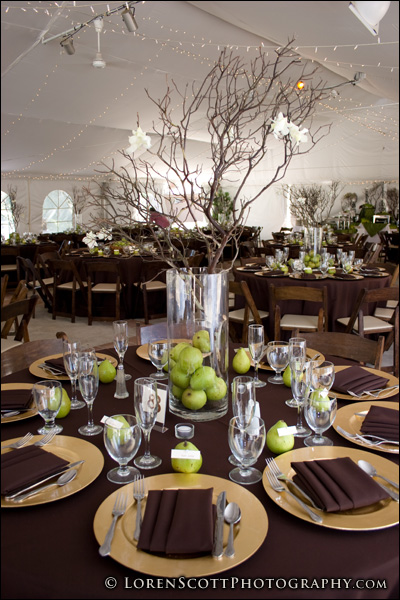 DreamGroup Wedding Event Planners October 2011