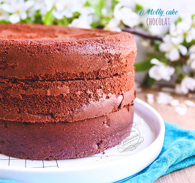 Molly Cake Au Chocolat Il était Une Fois La Pâtisserie