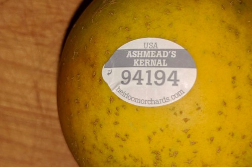 Fruit sticker reading :Ashmead's Kernal 94194"